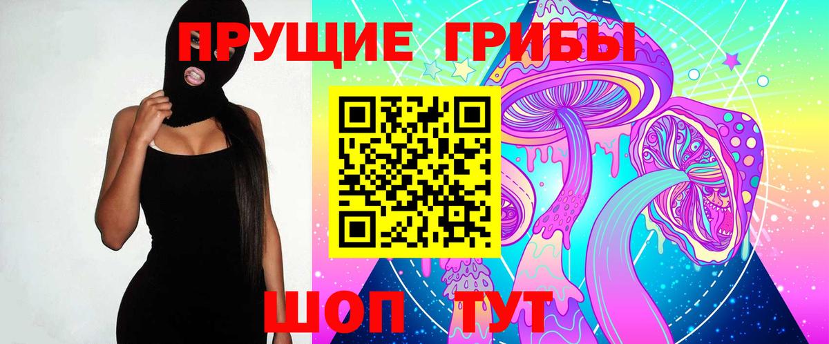Псилоцибиновые грибы Psilocybe Лесной